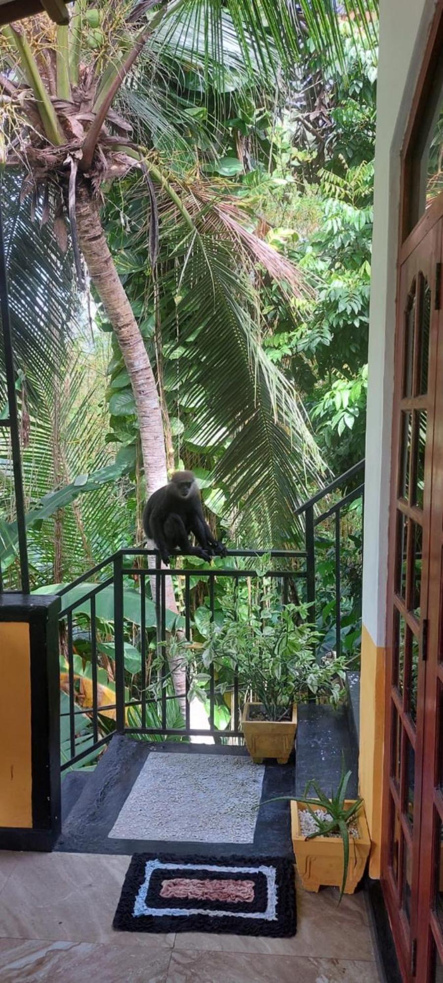 Freedom House Villa Unawatuna Ngoại thất bức ảnh